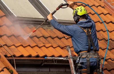 Démoussage et hydrofuge de toiture à Domme